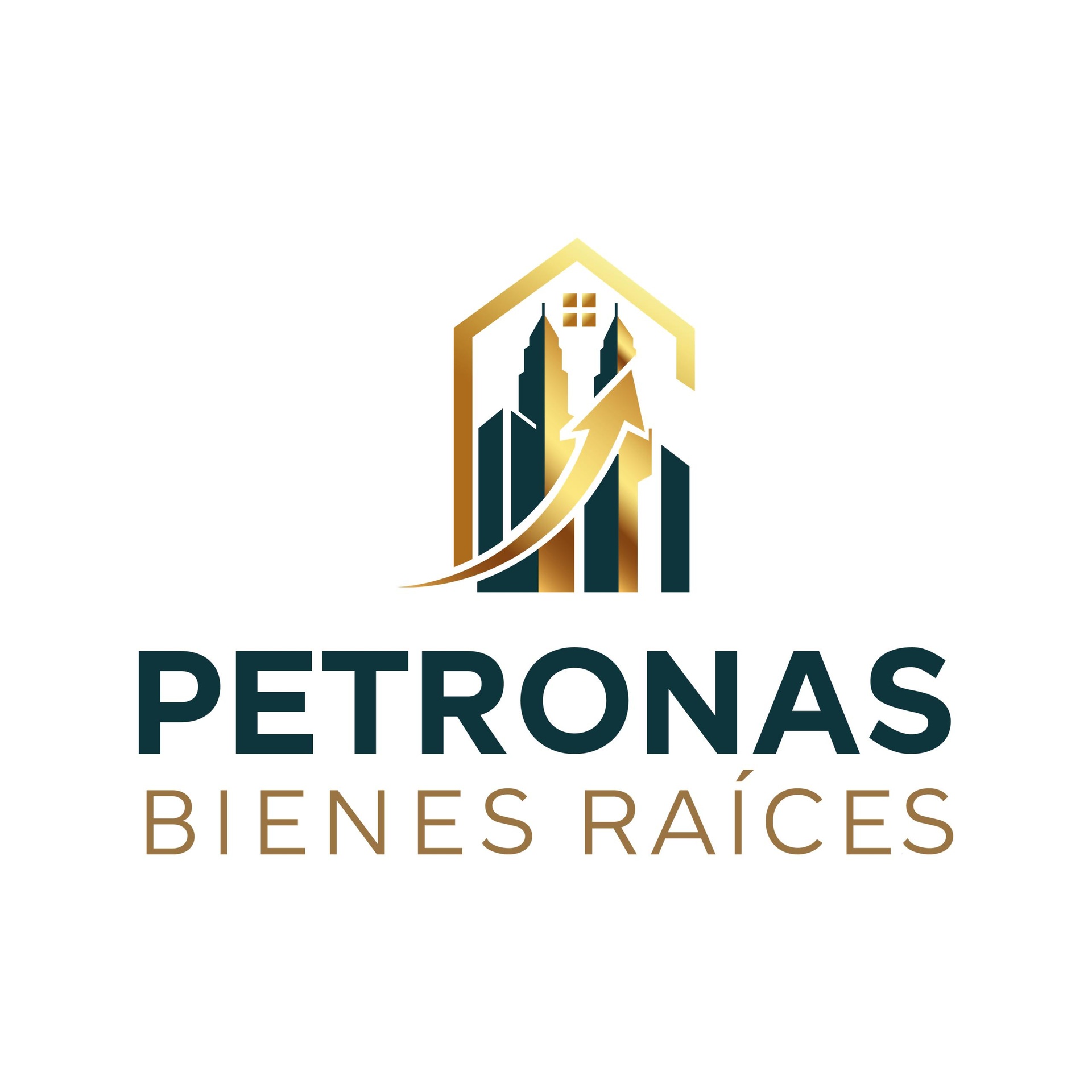 PETRONAS BIENES RAÍCES, C.A.